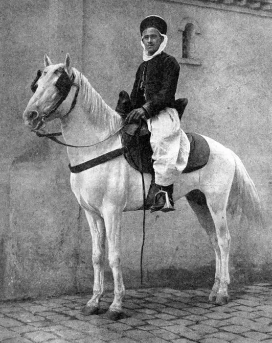 Framed Print : Berber horseman of the French Army, 1936. Artist: Donald McLeish Framed Print : Berber horseman of the French Army, 1936. Artist: Donald McLeish