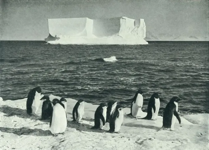Framed Print : A Berg Drifting in McMurdo Sound, c1910-1913, (1913). Artist: Herbert Ponting Framed Print : A Berg Drifting in McMurdo Sound, c1910-1913, (1913). Artist: Herbert Ponting