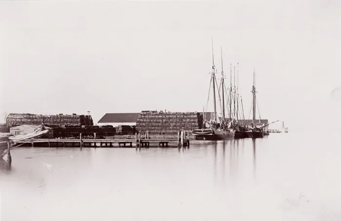 Framed Print : Bermuda Hundred Landing, James River, 1864. Creator: Andrew Joseph Russell Framed Print : Bermuda Hundred Landing, James River, 1864. Creator: Andrew Joseph Russell