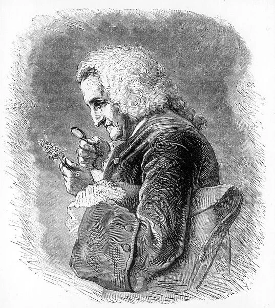 Bernard de Jussieu, 18th century French botanist, 1880