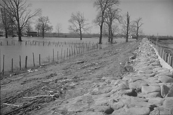 The Bessie Levee augmented with sand bags during the 1937 flood, Near Tiptonville, Tennessee, 1937. Creator: Walker Evans