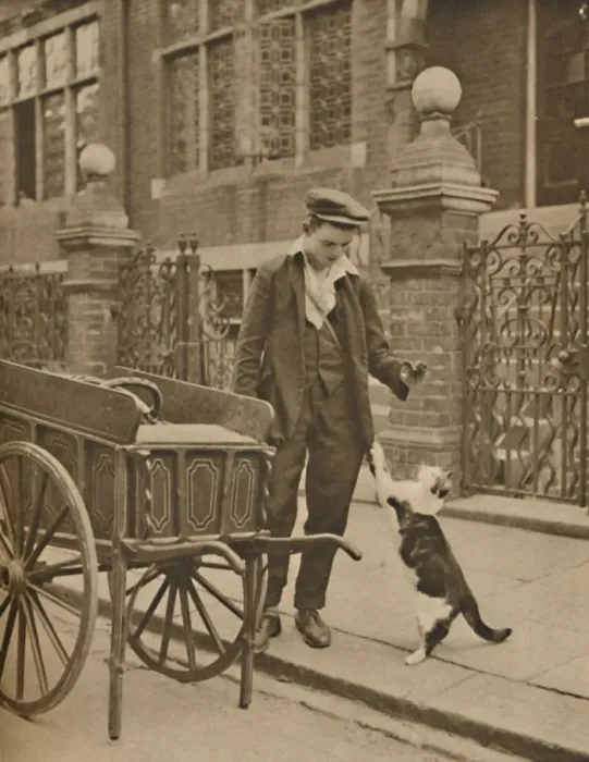 Framed Print : One of the Best-Established Trades: A Customer and the Cats-Meat Man, c1935. Creator