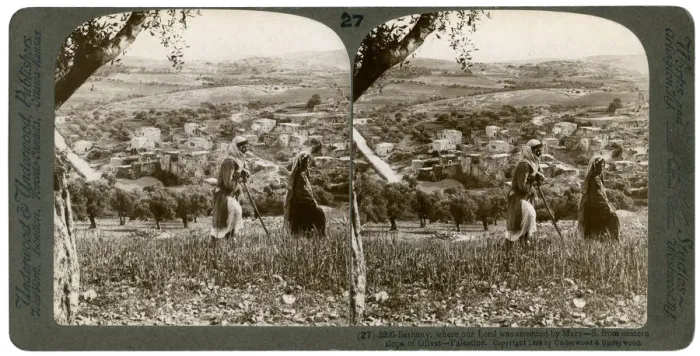 Framed Print : Bethany, as seen from the eastern slope of the Mount of Olives, Palestine, 1899. Artist: Underwood & Underwood Framed Print : Bethany, as seen from the eastern slope of the Mount of Olives, Palestine, 1899. Artist: Underwood & Underwood