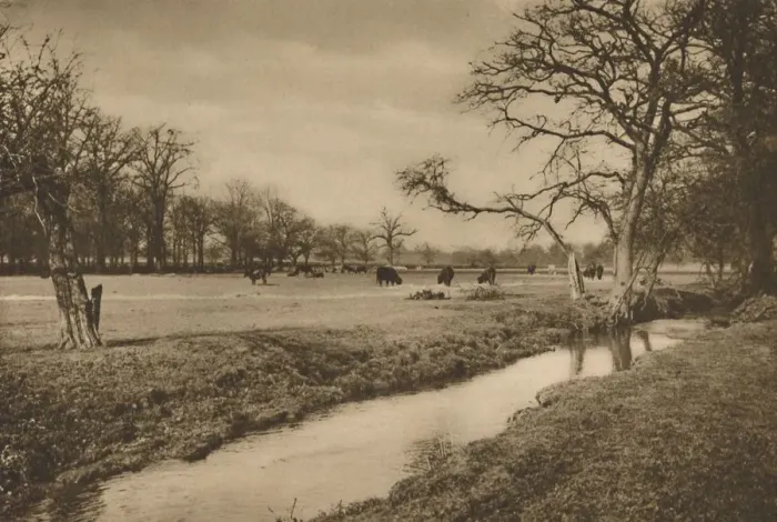 Framed Print : Where Beverley Brook Winds Through The Royal Hunting Park of Richmond, c1935. Creator: Joel Framed Print : Where Beverley Brook Winds Through The Royal Hunting Park of Richmond, c1935. Creator: Joel