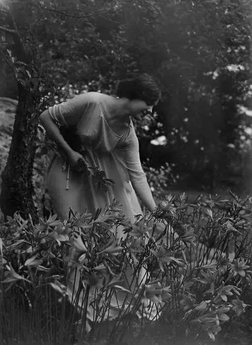 Framed Print : Beyer, Hilda, Miss, picking flowers in a garden, 1915 Apr. 26. Creator: Arnold Genthe Framed Print : Beyer, Hilda, Miss, picking flowers in a garden, 1915 Apr. 26. Creator: Arnold Genthe
