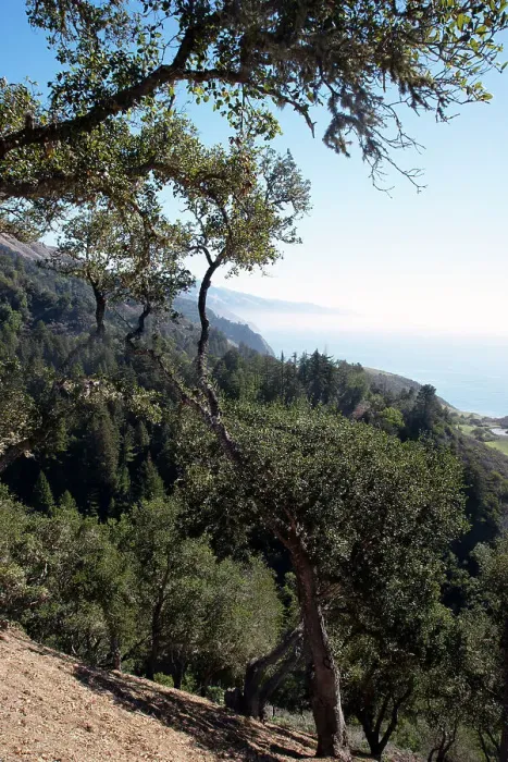 Framed Print : Big Sur, California, USA, 2022. Creator: Ethel Davies