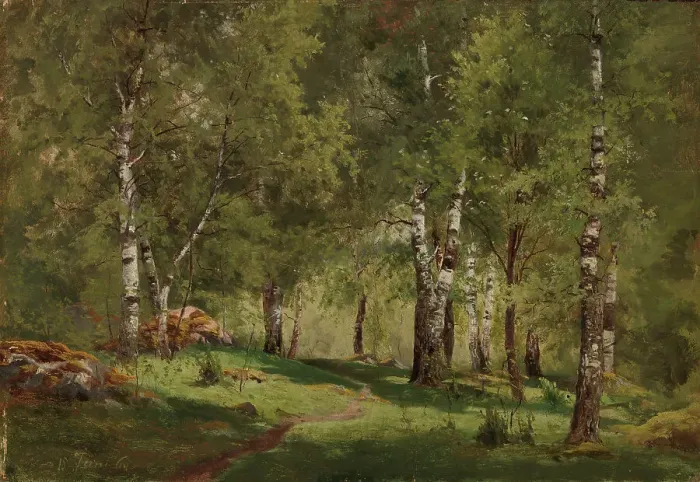 Framed Print : Birch Grove, 1865. Creator: Hjalmar Munsterhjelm Framed Print : Birch Grove, 1865. Creator: Hjalmar Munsterhjelm