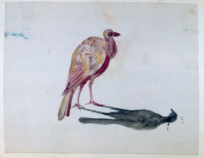 Framed Print : Bird, 1820-1876. Artist: George Sand Framed Print : Bird, 1820-1876. Artist: George Sand