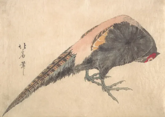 Framed Print : Bird, 1830s. Creator: Hakusanjin Hokui Framed Print : Bird, 1830s. Creator: Hakusanjin Hokui