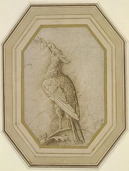 Bird on a Branch, ca. 1470-1480. Creator: Mantegna, Andrea (1431-1506)