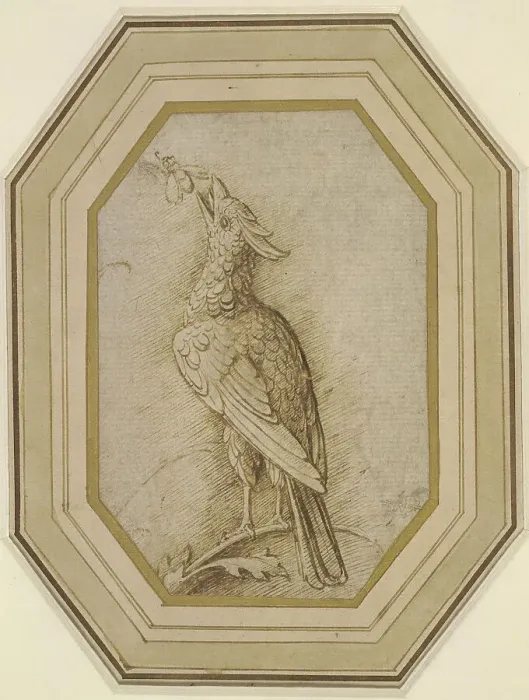 Framed Print : Bird on a Branch, ca. 1470-1480. Creator: Mantegna, Andrea (1431-1506) Framed Print : Bird on a Branch, ca. 1470-1480. Creator: Mantegna, Andrea (1431-1506)