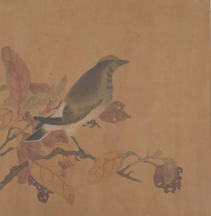 Framed Print : Bird on Branch. Creator: Unknown Framed Print : Bird on Branch. Creator: Unknown