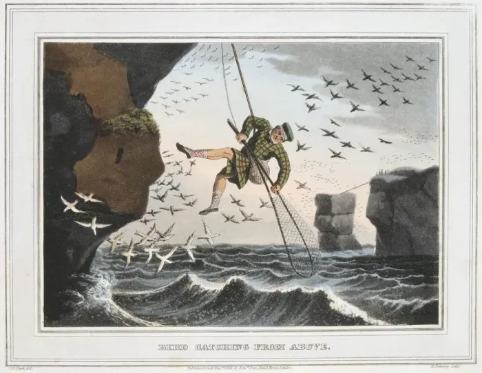 Framed Print : Bird Catching from Above, Shetland Islands, 1813 Framed Print : Bird Catching from Above, Shetland Islands, 1813