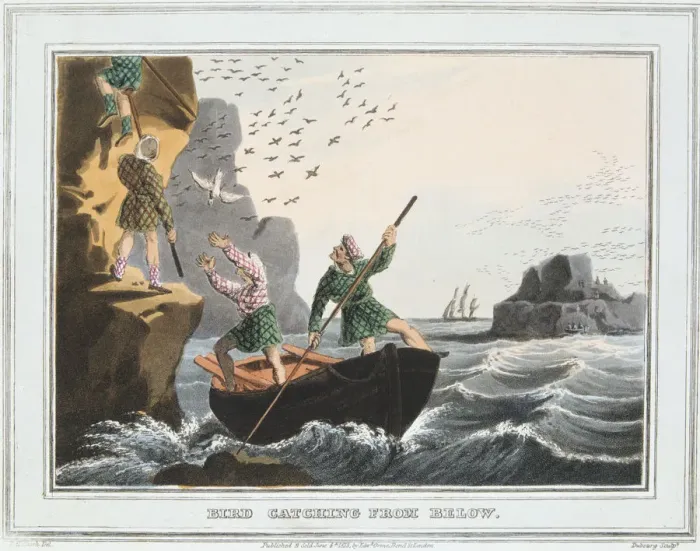 Framed Print : Bird Catching from Below, Shetland Islands, 1813 Framed Print : Bird Catching from Below, Shetland Islands, 1813