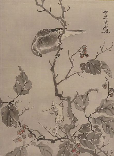 Bird and Frog, ca. 1887. Creator: Kawanabe Kyosai