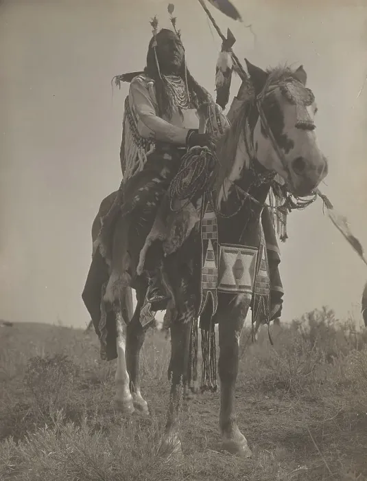 Framed Print : Bird On the Ground, 1908. Creator: Edward Sheriff Curtis Framed Print : Bird On the Ground, 1908. Creator: Edward Sheriff Curtis
