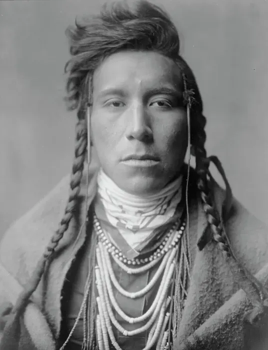 Framed Print : Bird on High Land, c1908. Creator: Edward Sheriff Curtis Framed Print : Bird on High Land, c1908. Creator: Edward Sheriff Curtis