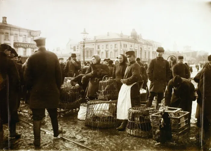Framed Print : Bird market, Trubnaya Square, Moscow, Russia, 1908 Framed Print : Bird market, Trubnaya Square, Moscow, Russia, 1908