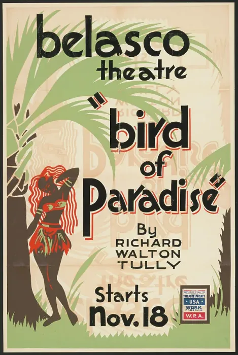 Framed Print : Bird of Paradise, Los Angeles, 1938. Creator: Unknown Framed Print : Bird of Paradise, Los Angeles, 1938. Creator: Unknown