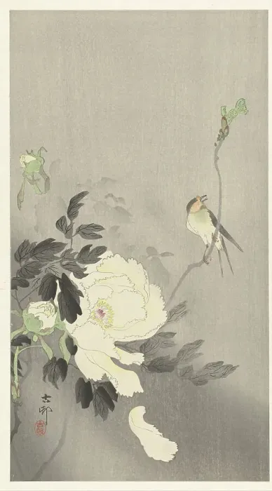 Framed Print : Bird and peony, 1920-1930. Creator: Ohara, Koson (1877-1945) Framed Print : Bird and peony, 1920-1930. Creator: Ohara, Koson (1877-1945)