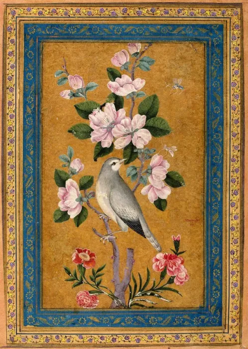 Framed Print : Bird Perching on a Blossoming Branch, 1696 Framed Print : Bird Perching on a Blossoming Branch, 1696