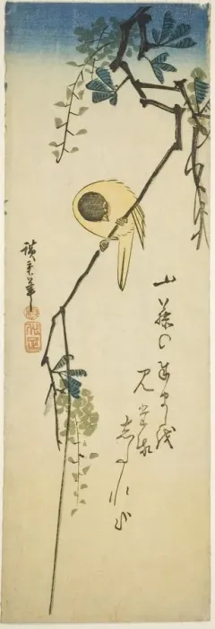 Framed Print : Bird on silky wisteria, 1830s-1840s. Creator: Ando Hiroshige Framed Print : Bird on silky wisteria, 1830s-1840s. Creator: Ando Hiroshige