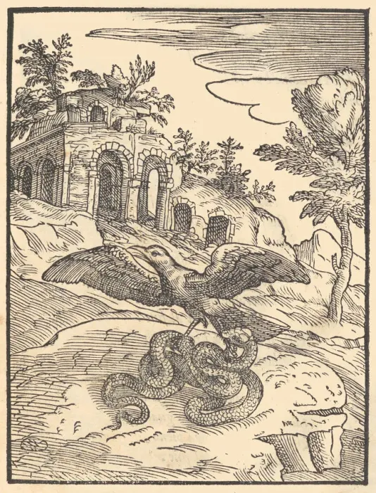 Framed Print : Bird and snake, 1570. Creator: Giovanni Maria Verdizotti Framed Print : Bird and snake, 1570. Creator: Giovanni Maria Verdizotti