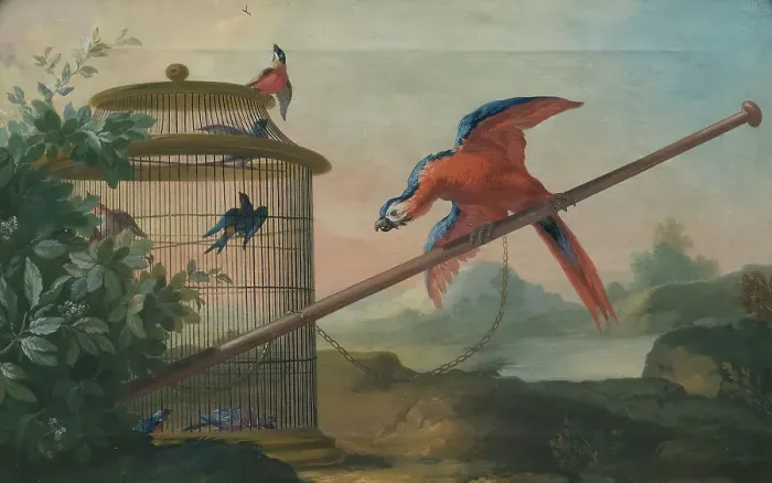 Framed Print : Birds, 1750s. Creator: Johan Pasch Framed Print : Birds, 1750s. Creator: Johan Pasch