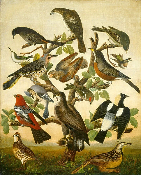 Birds, c. 1840. Creator: Unknown