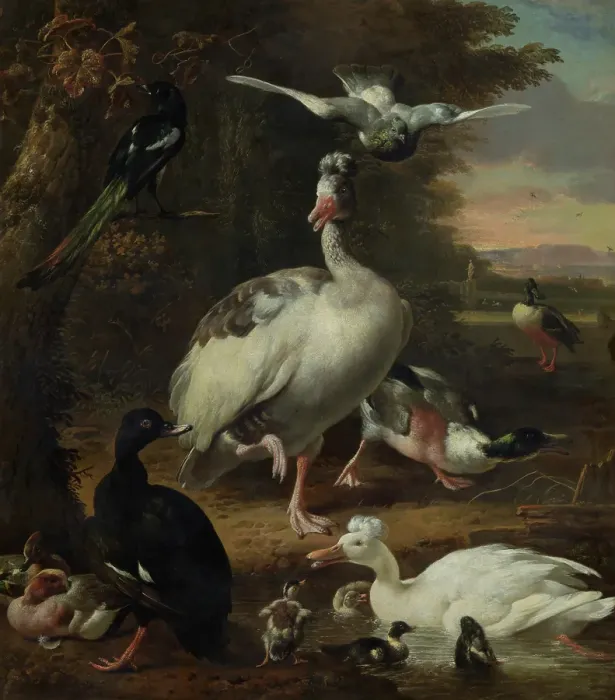 Framed Print : Birds, c1660-1695. Creator: Melchior d'Hondecoeter Framed Print : Birds, c1660-1695. Creator: Melchior d'Hondecoeter
