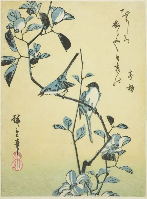 Framed Print : Birds on camellia branch, 1830s. Creator: Ando Hiroshige Framed Print : Birds on camellia branch, 1830s. Creator: Ando Hiroshige