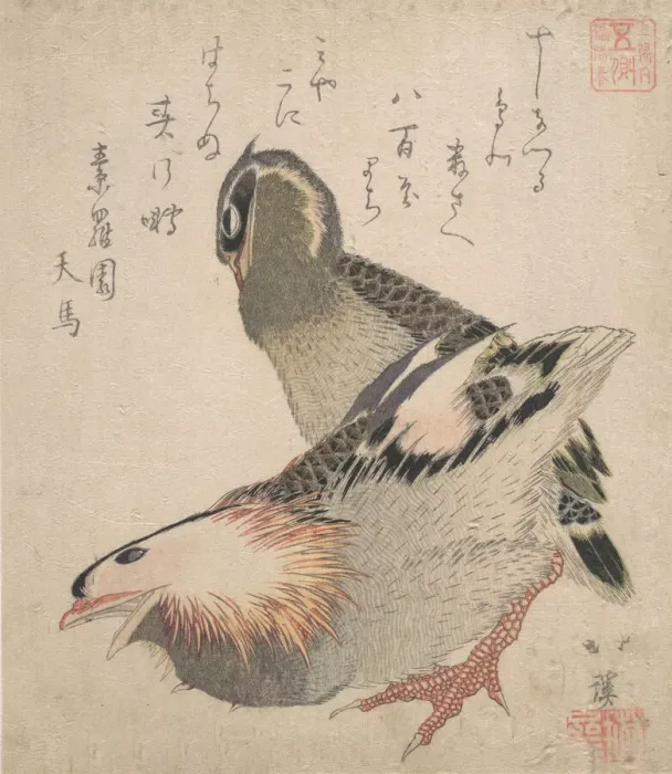 Framed Print : Two Birds. Creator: Totoya Hokkei Framed Print : Two Birds. Creator: Totoya Hokkei
