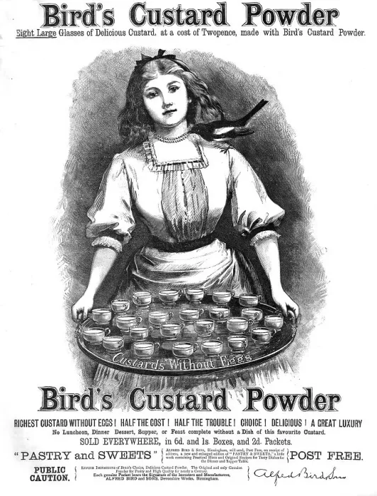 Framed Print : Bird's Custard Powder, 1886. Creator: Unknown Framed Print : Bird's Custard Powder, 1886. Creator: Unknown