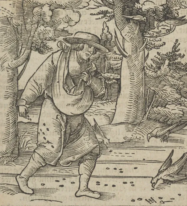 Framed Print : The Birds Eating the Seeds of the Sower, from Hymmelwagen auff dem, wer wol lebt... 1517 Framed Print : The Birds Eating the Seeds of the Sower, from Hymmelwagen auff dem, wer wol lebt... 1517