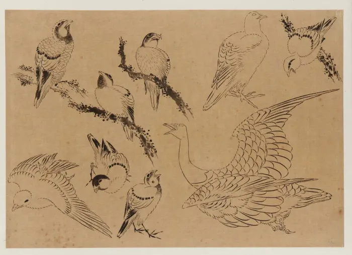 Framed Print : Birds, Edo period, late 18th-early 19th century. Creator: Hokusai Framed Print : Birds, Edo period, late 18th-early 19th century. Creator: Hokusai