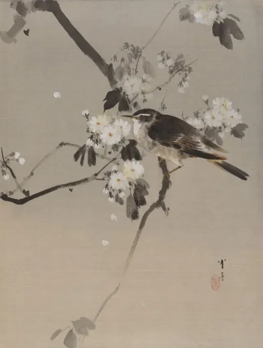 Framed Print : Birds on a Flowering Branch, ca. 1887. Creator: Watanabe Seitei Framed Print : Birds on a Flowering Branch, ca. 1887. Creator: Watanabe Seitei