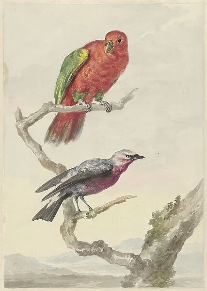 Two birds, including a red-green parrot, 1720-1792. Creator: Aert Schouman