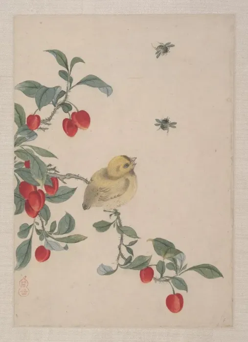 Framed Print : Birds, Insects and Flowers, 19th century. Creator: Yi Zhai