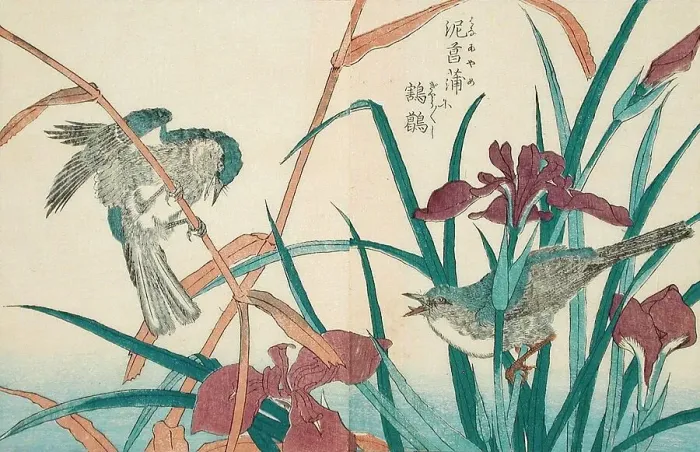 Framed Print : Birds and Iris, 18th-19th century. Creator: Kitao Shigemasa Framed Print : Birds and Iris, 18th-19th century. Creator: Kitao Shigemasa