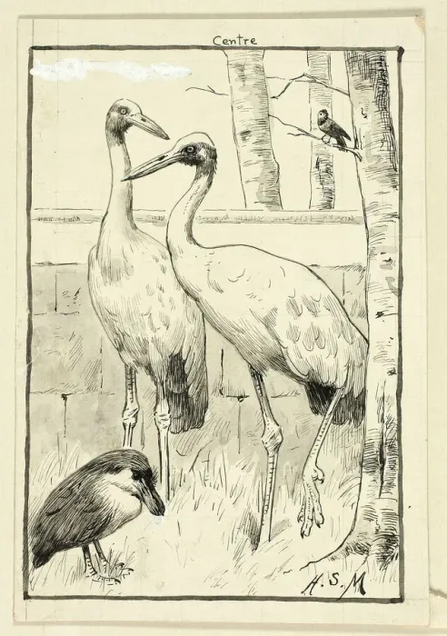 Framed Print : Four Birds in Landscape, n. d. Creator: Henry Stacy Marks Framed Print : Four Birds in Landscape, n. d. Creator: Henry Stacy Marks