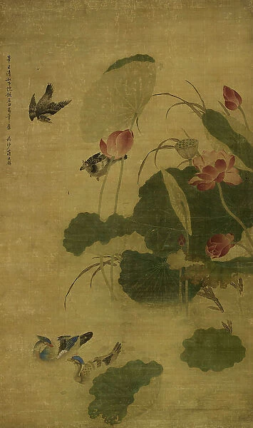 Birds and lotus, 1701. Creator: Jiang Tingxi