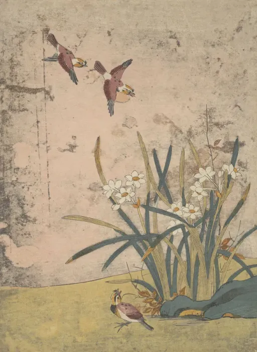 Framed Print : Birds and Narcissus. Creator: Suzuki Harunobu Framed Print : Birds and Narcissus. Creator: Suzuki Harunobu