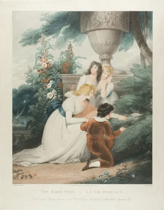 Framed Print : The Bird's Nest, n.d. Creator: Charles Knight Framed Print : The Bird's Nest, n.d. Creator: Charles Knight