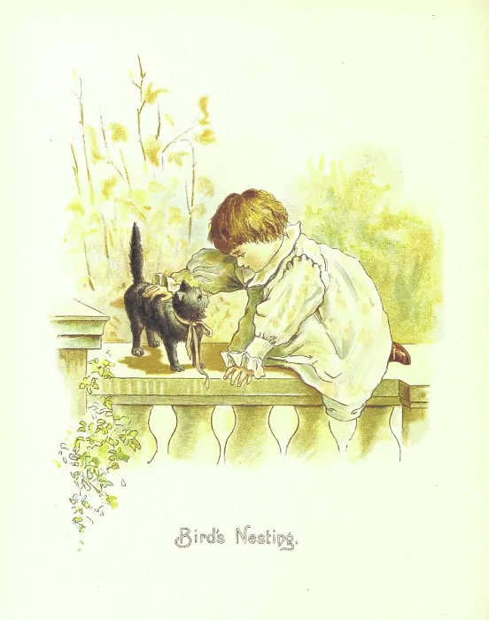 Framed Print : Bird's Nesting, 1892. Creator: Unknown. Bird's Nesting, 1892. Creator: Unknown Framed Print : Bird's Nesting, 1892. Creator: Unknown. Bird's Nesting, 1892. Creator: Unknown