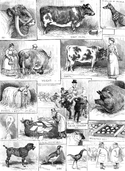 Framed Print : The Birmingham Cattle, Poultry, and Dog Show, 1883. Creator: Unknown Framed Print : The Birmingham Cattle, Poultry, and Dog Show, 1883. Creator: Unknown