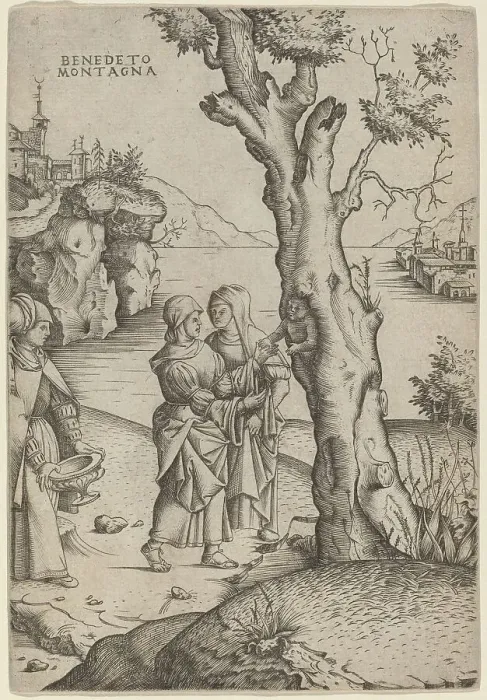 Framed Print : Birth of Adonis, c. 1515 / 1520. Creator: Benedetto Montagna Framed Print : Birth of Adonis, c. 1515 / 1520. Creator: Benedetto Montagna