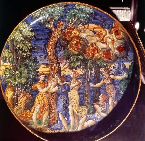 Birth of Adonis, Ovid: Metamorpheses X, Italian Earthenware Dish, 1541. Artist: Francesco Durantino