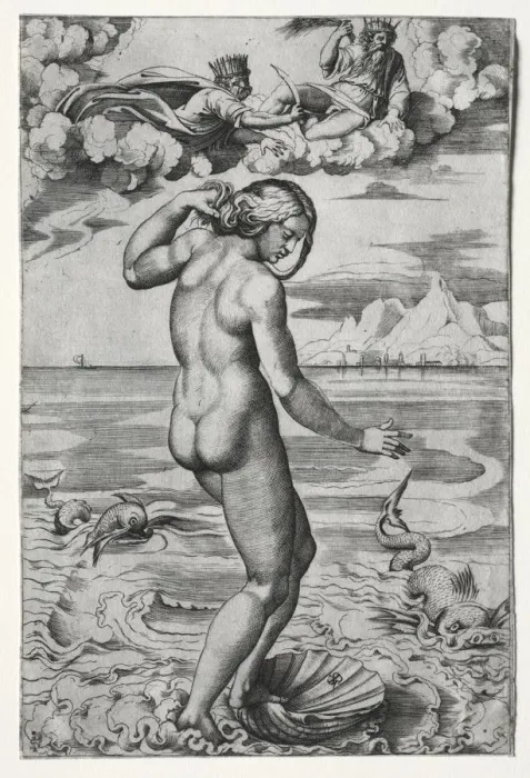Framed Print : The Birth of Venus, c. 1516. Creator: Marco Dente (Italian, c. 1486-1527) Framed Print : The Birth of Venus, c. 1516. Creator: Marco Dente (Italian, c. 1486-1527)