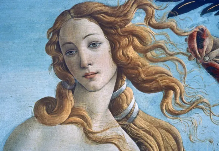 Framed Print : The Birth of Venus (detail), c1485. Artist: Sandro Botticelli Framed Print : The Birth of Venus (detail), c1485. Artist: Sandro Botticelli