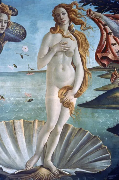 Framed Print : The Birth of Venus (detail), c1485. Artist: Sandro Botticelli Framed Print : The Birth of Venus (detail), c1485. Artist: Sandro Botticelli